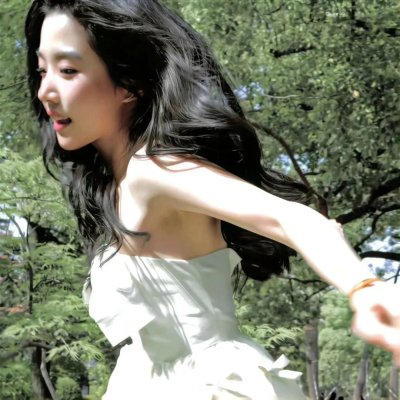 宫廷斗鸡