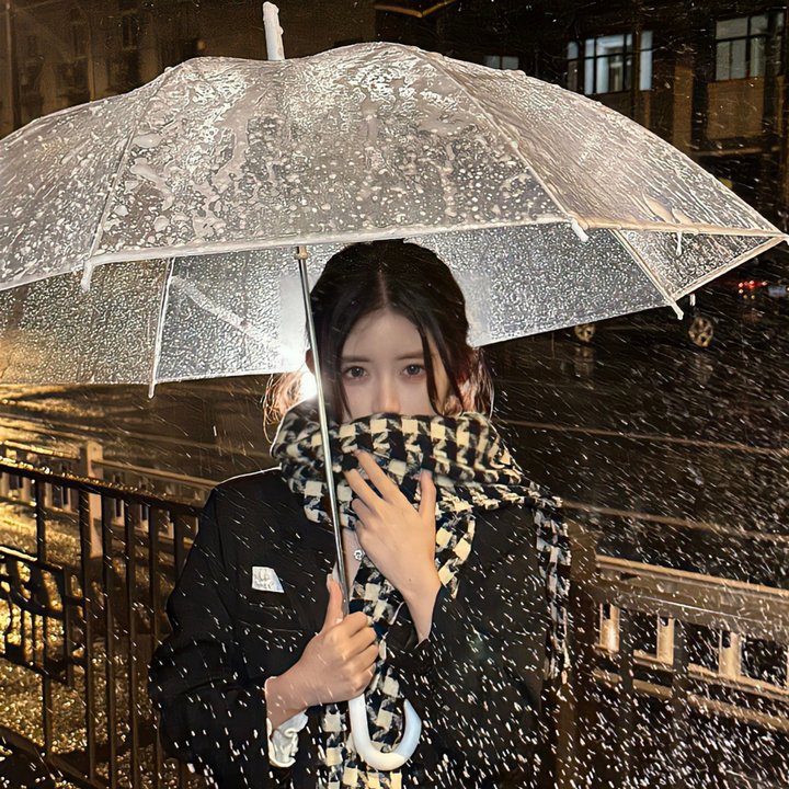 夜晚布鲁士